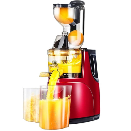 BOMA Juice Extractor (BM-2831)