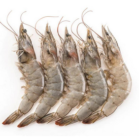 Fresh/Frozen Shrimp - 300g