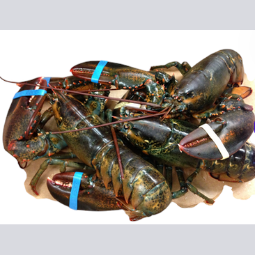 Fresh/Frozen Lobster - 500g