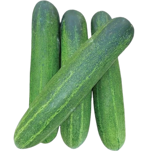 Cucumber - 1Kg